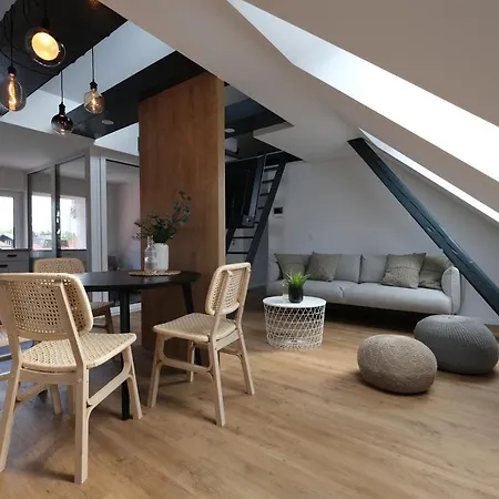 Emona Free Parking & Gym דירה *