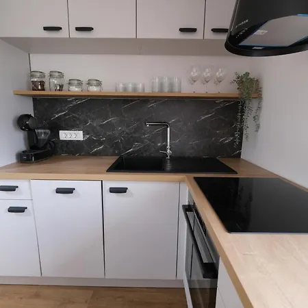 Emona Free Parking & Gym Appartement *