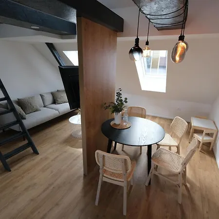 Apartment Emona Free Parking & Gym Ljubljana