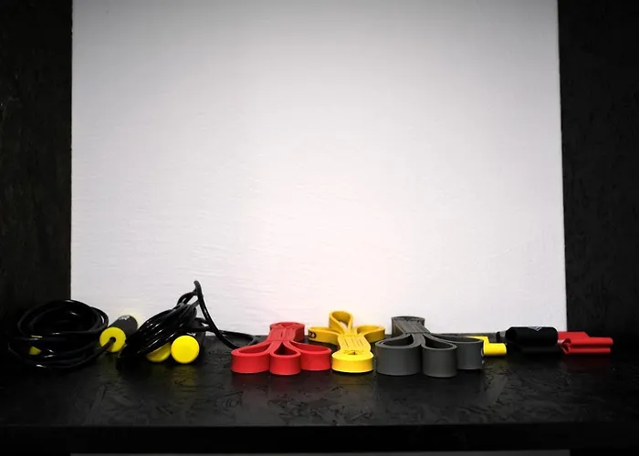 Emona Free Parking & Gym * Ljubljana